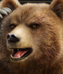 Kuma