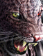 Armor King