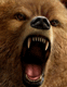 Kuma