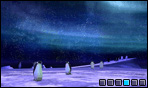 Aurora Australis